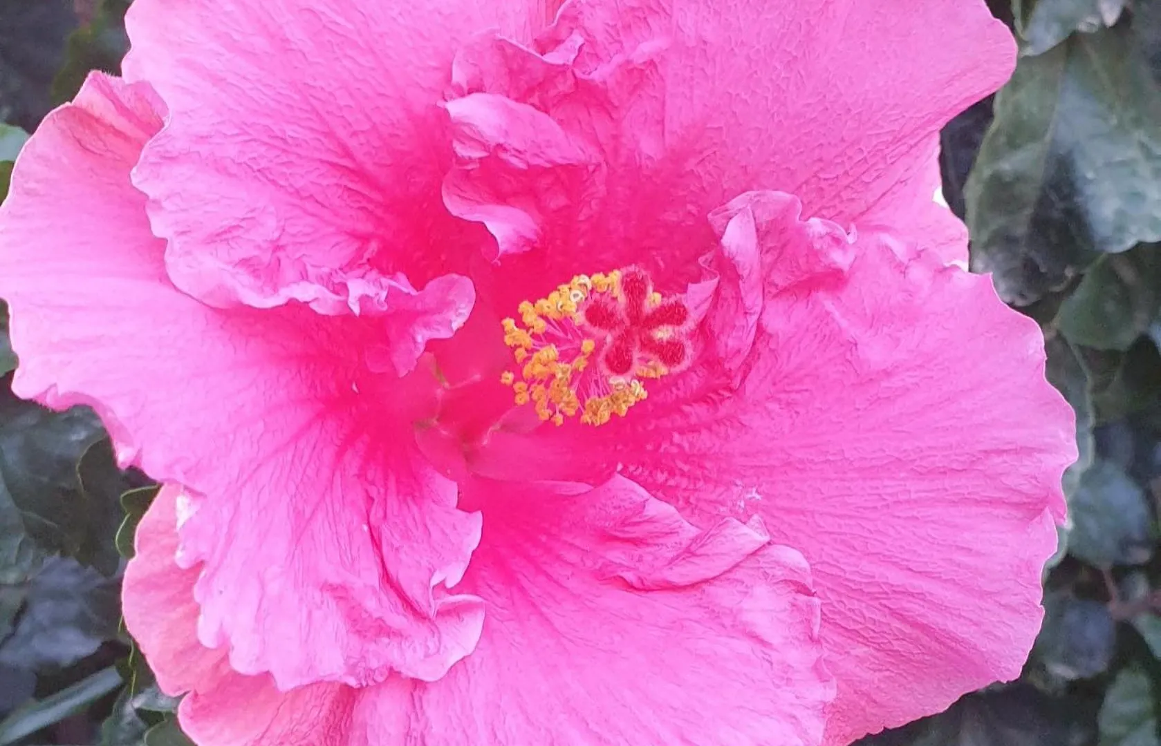 Hibiscus Guest Room Strand Habitación en casa particular